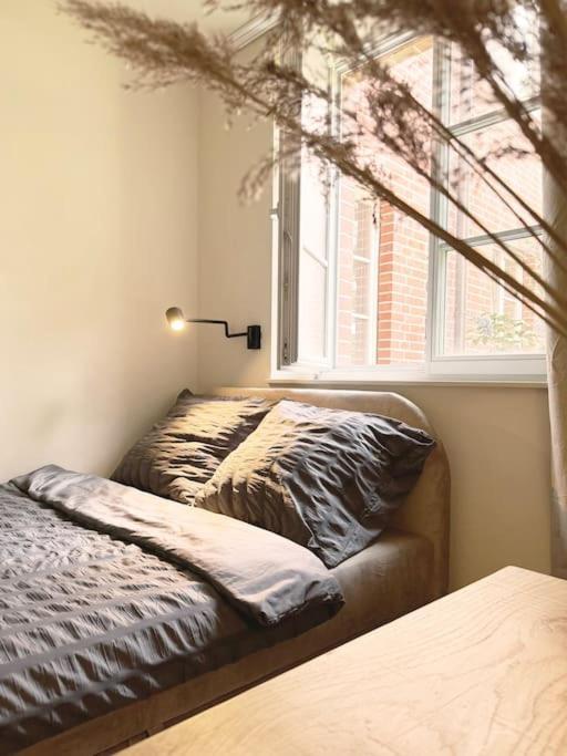 Natural Apartment In The City Center - Old Town Wrocław Kültér fotó