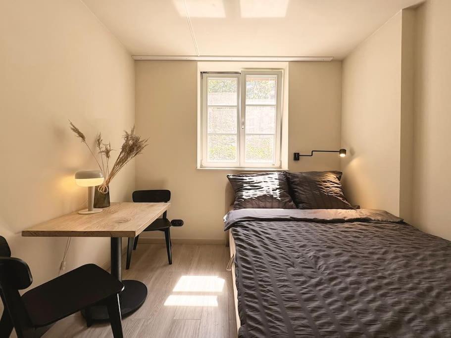 Natural Apartment In The City Center - Old Town Wrocław Kültér fotó
